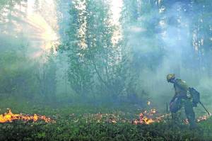 Alaska Division of Forestry                                A member of the Gannet Glacier Type 2 Initial Attack Crew uses a drip torch during a burnout operation at the Swan Lake Fire on June 18, 2019.