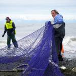 Sara Frostad-Hudkins pulls a beach seine net back toward the waters of Cook Inlet at a test site for the gear near Kenai, Alaska, on Tuesday, July 30, 2024. (Jake Dye/Peninsula Clarion)