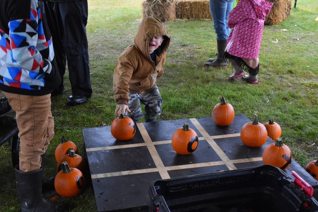 A young boy plays tic-tac-toe with pumpkins at the Fall Pumpkin Festival, Saturday, Oct. 12, 2024, in Kenai, Alaska. (Photo by Jonas Oyoumick/Peninsula Clarion)