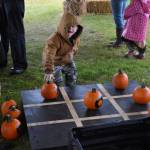 A young boy plays tic-tac-toe with pumpkins at the Fall Pumpkin Festival, Saturday, Oct. 12, 2024, in Kenai, Alaska. (Photo by Jonas Oyoumick/Peninsula Clarion)