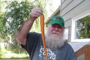 Larry Opperman, host of Growing a Greener Kenai radio show on local public radio station KDLL 91.9 FM, shows off a carrot. (Photo provided)