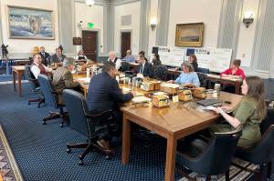 Liz Harpold, a staff member for Sen. Donny Olson (D-Golovin)​, explains changes to a bill increasing per-student education funding and making various policy changes during a Senate Finance Committee meeting on Thursday, April 24, 2025. (Mark Sabbatini / Juneau Empire)