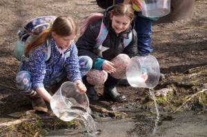 Students stock rainbow trout into Johnson Lake during Salmon Celebration, hosted by the Alaska Department of Fish and Game near Kasilof, Alaska, on Wednesday, May 7, 2025. (Jake Dye/Peninsula Clarion)