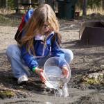 Students stock rainbow trout into Johnson Lake during Salmon Celebration, hosted by the Alaska Department of Fish and Game near Kasilof, Alaska, on Wednesday, May 7, 2025. (Jake Dye/Peninsula Clarion)