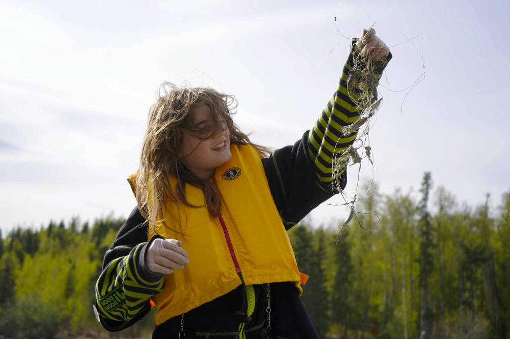 Sterling Elementary School students collect trash from the banks of the Kenai River near Bings Landing in Sterling, Alaska, during the 10th Annual Kenai River Spring Cleanup on Wednesday, May 14, 2025. (Jake Dye/Peninsula Clarion)