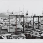 Hoonah seine boats at the city dock in Hoonah are seen in this image, with no limited entry permit numbers on any of the seine boats or the smaller pleasure cruisers and skiffs, which were used for hand trolling for salmon. (Photo courtesy of Huna Heritage Foundation archives)