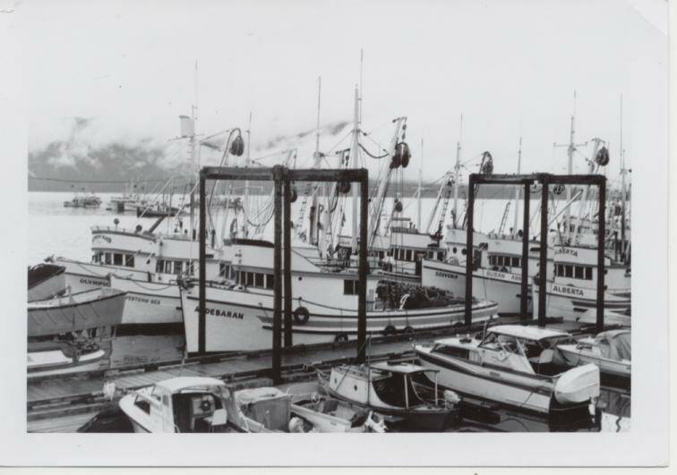 Hoonah seine boats at the city dock in Hoonah are seen in this image, with no limited entry permit numbers on any of the seine boats or the smaller pleasure cruisers and skiffs, which were used for hand trolling for salmon. (Photo courtesy of Huna Heritage Foundation archives)