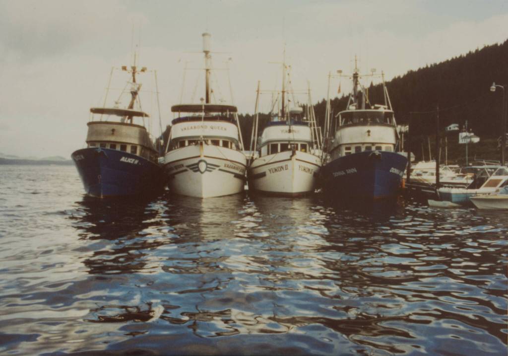 Hoonah seine boats Alice H, Vagabond Queen, Yukon II and Donna Ann are tied up at the city dock in Hoonah. Today, Vagabond Queen and Donna Ann remain. (Photo courtesy of Huna Heritage Foundation archives)
