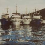 Hoonah seine boats Alice H, Vagabond Queen, Yukon II and Donna Ann are tied up at the city dock in Hoonah. Today, Vagabond Queen and Donna Ann remain. (Photo courtesy of Huna Heritage Foundation archives)