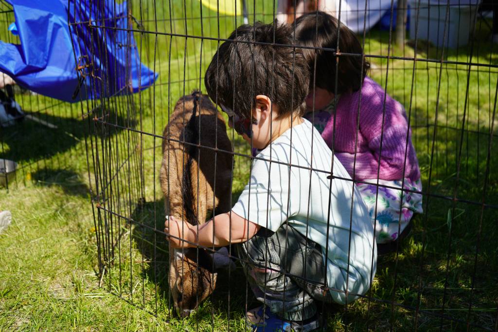 Kids pet goats during Saturday Market at the Goods in Soldotna, Alaska, on Saturday, June 14, 2025. (Jake Dye/Peninsula Clarion)
