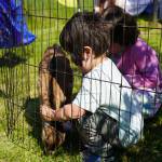 Kids pet goats during Saturday Market at the Goods in Soldotna, Alaska, on Saturday, June 14, 2025. (Jake Dye/Peninsula Clarion)