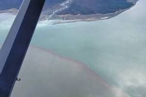 An aerial photo over Grewingk Glacier and Glacier Spit from May 2021 shows a mesodinium rubrum bloom to the left as contrasted with the normal ocean water of Kachemak Bay near Homer. (Photo courtesy of Stephanie Greer/Beryl Air)