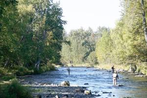 Anglers fish in the Russian River in early September 2020. (Photo by Michael Armstrong/Homer News file)