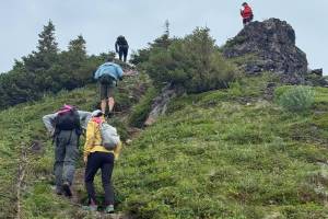 Hikers climb a steep portion of Gtace Ridge during the 2025 Kachemak Bay Mountain Classic on Saturday. The race was 9.2 miles and racers faced a 3200 elevation gain. (Photo courtesy of Amy Holman)