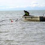Gary Hollier and other east side setnetters pull a setnet filled with sockeye salmon onto a boat in Kalifornsky, Alaska, on Wednesday, Aug. 6, 2025. (Jake Dye/Peninsula Clarion)