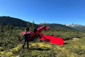 The downed aircraft near Haines, Alaska, Aug. 24, 2025. The pilot was the only person aboard the aircraft and had no reported injuries. (U.S. Coast Guard photo courtesy of Air Station Sitka)