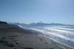 A beach along Kachemak Bay is photographed in 2018. (Homer News file)