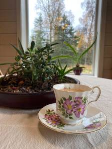 Serve your London Fog in a lovely cup and enjoy while reading the news. (Photo by Tressa Dale/Peninsula Clarion)