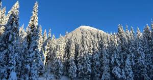 Snow-covered trees and peaks are pictured from a frozen pond near the Herbert Glacier trail in Juneau<ins>, Alaska,</ins> on Thursday, Dec. 11<ins>, 2025</ins>. (Chloe Anderson/Peninsula Clarion)