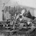 Photo courtesy of the Viani Family Collection
Pictured here with trophies of his trade is P.F. Frenchy Vian, a bit of a hustler who lived in Kenai for about 20 years and took advantage of opportunities, fairly or not, when they were presented to him. One of those opportunities involved the defunct agricultural experiment station at Kenai.