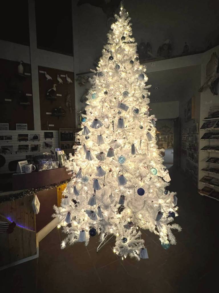 The Angel Tree is pictured at the Kenai Chamber of Commerce on Dec. 19. Starting in November, community members could nominate themselves or needy families to receive Christmas gifts. Nearly 100 families were able to open presents on Christmas morning thanks to the communitys generosity.