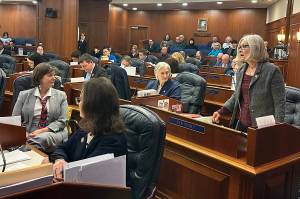 Rep. Andi Story (D-Juneau), co-chair of the House Education Committee, speaks in favor of overriding Gov. Mike Dunleavys veto of an education funding bill during a joint session of the Alaska Legislature in 2025. (Juneau Empire file photo)